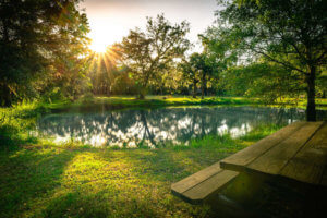 How Deep Does A Pond Need To Be For Bass