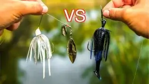 Chatterbait Vs Spinnerbait