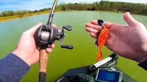 What Color Chatterbait To Use