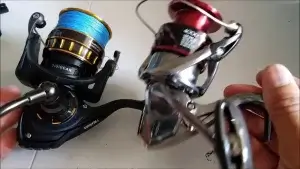 Daiwa Fuego Vs BG