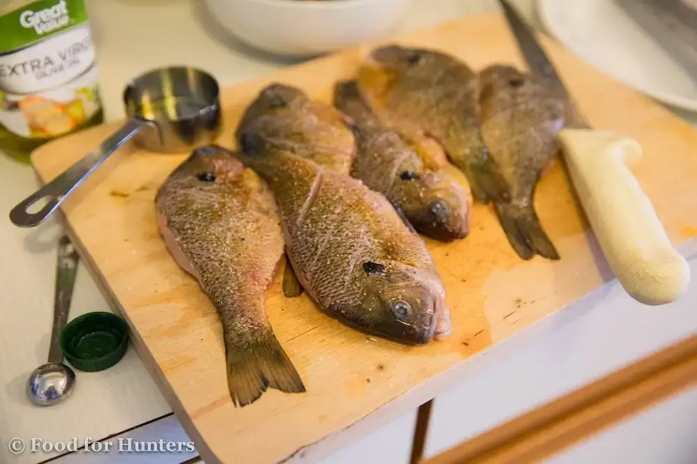 What Does Bluegill Taste Like? – This Fish Is a Delightful Treat