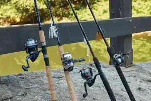 How Many Fishing Rods Should I Have