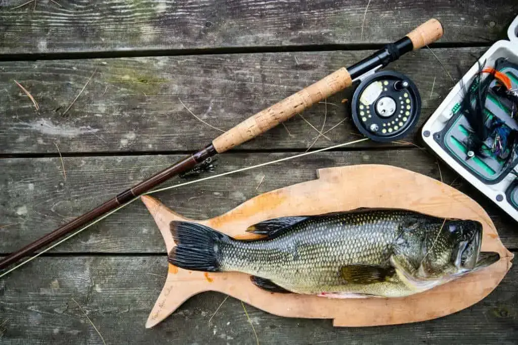What Is A Good Size Largemouth Bass