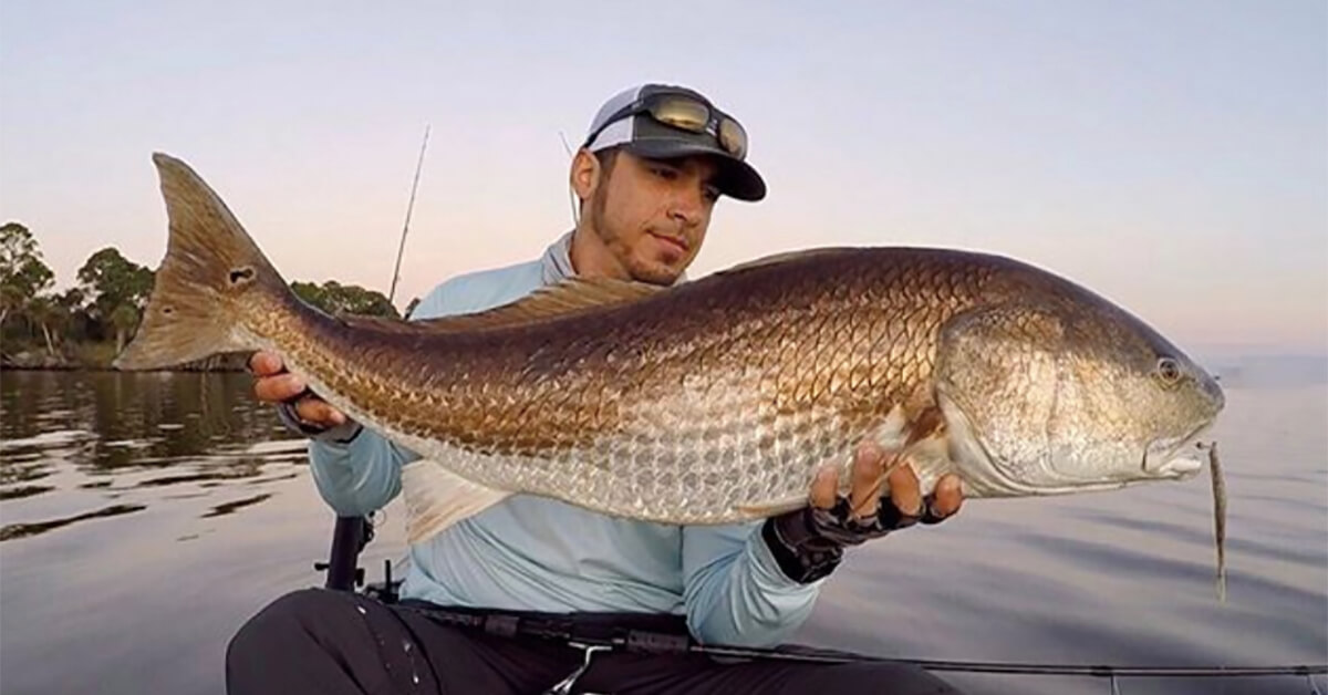 how-big-of-a-fish-can-you-catch-on-8lb-line-fishing-tips