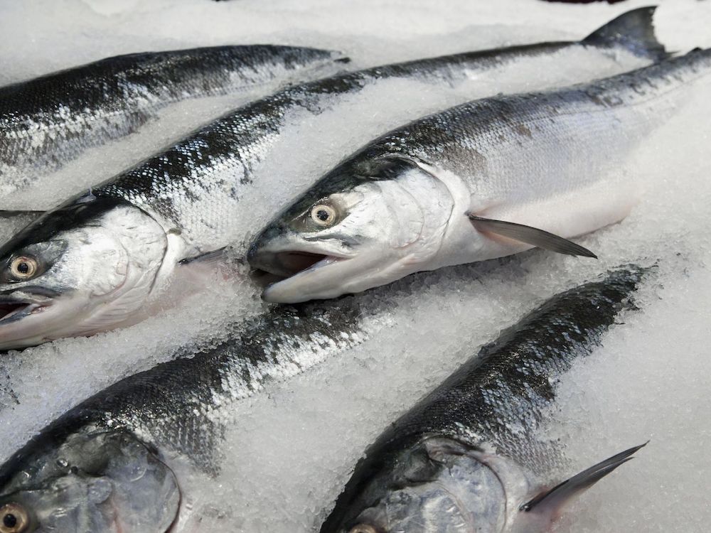 How Long Is Fish Good For Frozen In Water at Janice Rice blog