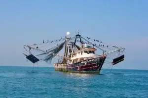 How Long Do Shrimp Boats Stay Out