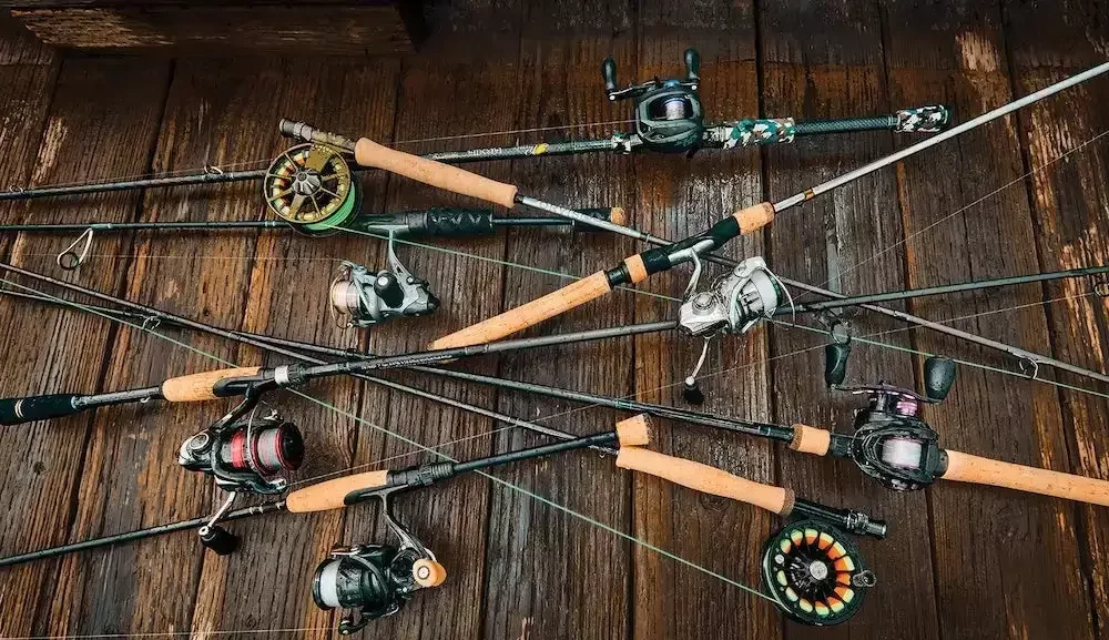 How Many Fishing Rods Should I Have