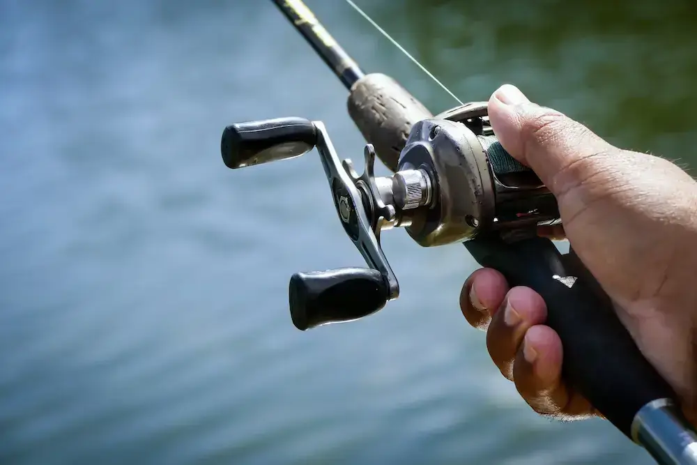 What is a Clam Spinning Reel