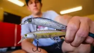 What Color Lure To Use In Clear Water