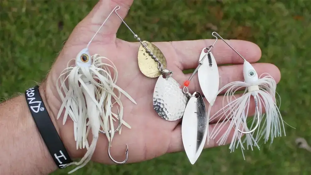 What Lures To Use For Bass After Rain