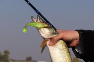 What is an Offset Hook