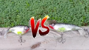 Whopper Plopper 75 Vs 90